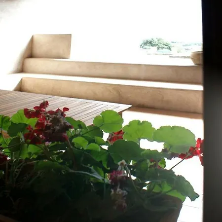 Terrazze Di Zighidi Tatil Evi *